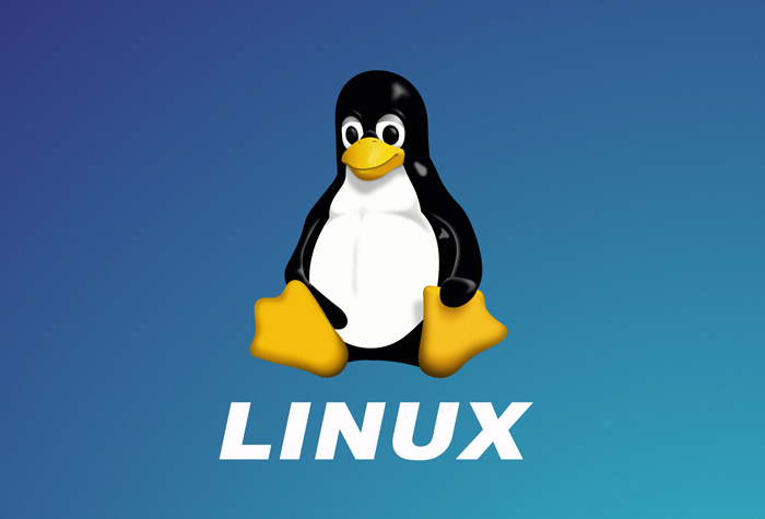 What Year Was the First Linux OS Released?
