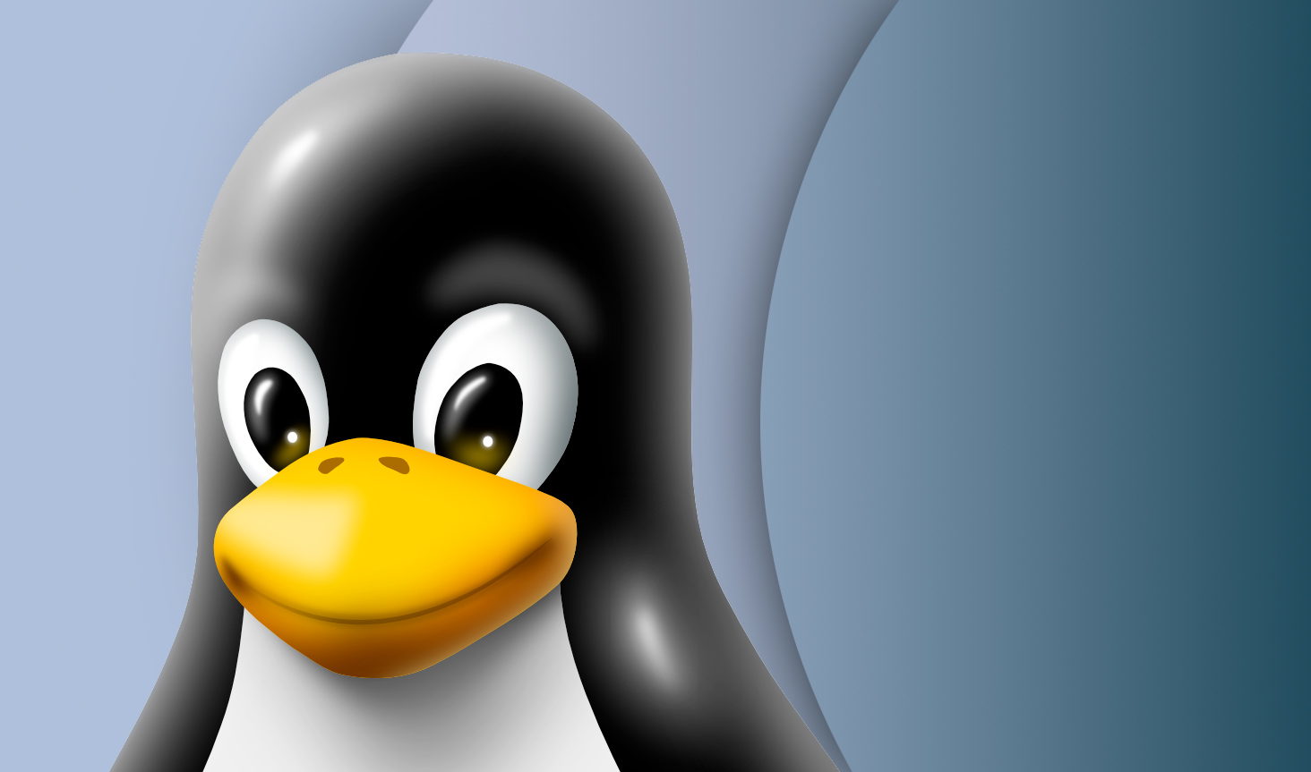 Ubuntu: The Linux Distro That Made Open Source Easy for Everyone